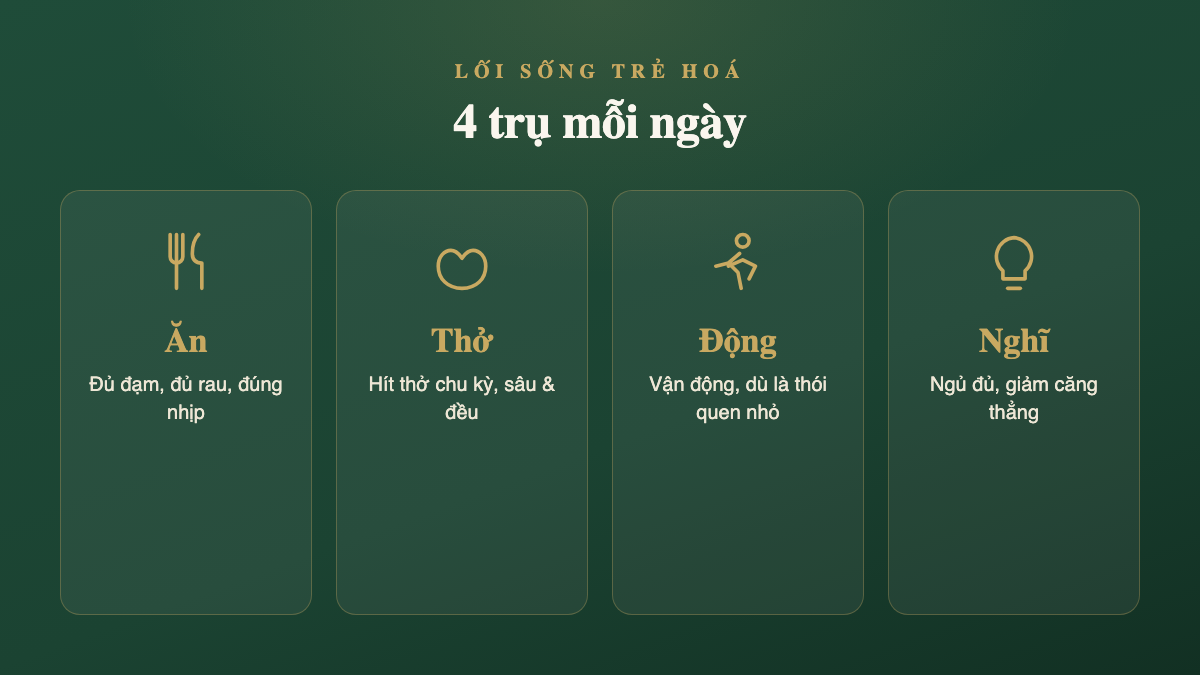 Lối sống trẻ hoá 4 trụ mỗi ngày: Ăn, Thở, Động, Nghĩ